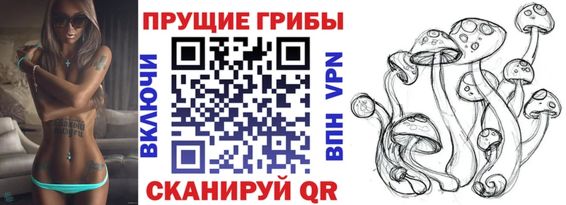 Купить  Емва  Псилоцибиновые грибы мухоморы 